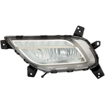 Order Driver Side Fog Lamp Assembly - KI2592158C For Your Vehicle