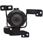 Order Driver Side Fog Lamp Assembly - KI2592164C For Your Vehicle
