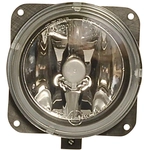 Order Driver Side Fog Lamp Assembly - MA2592101 For Your Vehicle