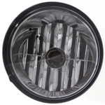 Order Driver Side Fog Lamp Assembly - NI2592119 For Your Vehicle