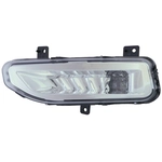 Order Driver Side Fog Lamp Assembly - NI2592141 For Your Vehicle
