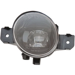 Order Driver Side Fog Lamp Assembly by SHERMAN PARTS - NIALTI19-125-1 For Your Vehicle