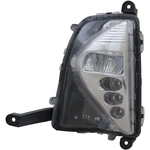 Order Driver Side Fog Lamp Assembly - TO2592137C For Your Vehicle