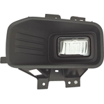 Order Driver Side Fog Lamp Assembly - FO2592247 For Your Vehicle