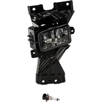 Order Driver Side Fog Lamp Assembly - FO2592257 For Your Vehicle