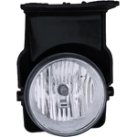 Order Driver Side Fog Lamp Assembly - GM2592154 For Your Vehicle