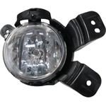 Order Driver Side Fog Lamp Assembly - GM2592312 For Your Vehicle