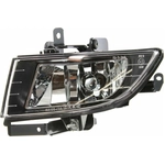 Order Driver Side Fog Lamp Assembly - HY2592123 For Your Vehicle