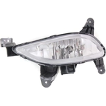 Order Driver Side Fog Lamp Assembly - HY2592150 For Your Vehicle