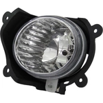 Order Driver Side Fog Lamp Assembly - KI2592109 For Your Vehicle