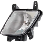 Order Driver Side Fog Lamp Assembly - KI2592131 For Your Vehicle