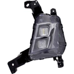 Order Driver Side Fog Lamp Assembly - KI2592175 For Your Vehicle