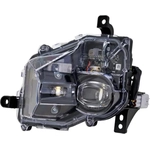 Order Driver Side Fog Lamp Assembly - LX2592124 For Your Vehicle