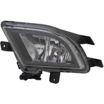 Order Driver Side Fog Lamp Assembly - VW2592126C For Your Vehicle