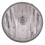 Order Driver Side Fog Lamp Lens/Housing by DEPO - 333-2033N-AC For Your Vehicle