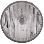 Order Driver Side Fog Lamp Lens/Housing by DEPO - 333-2033N-AQ For Your Vehicle