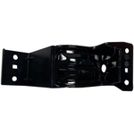 Order Driver Side Front Bumper Insert - NI1038179 For Your Vehicle