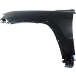 Order Driver Side Front Fender Assembly - CH1240272C For Your Vehicle