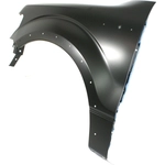 Order Driver Side Front Fender Assembly - FO1240273C For Your Vehicle