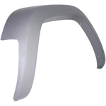 Order VARIOUS MANUFACTURERS - CH1268103 - Driver Side Front Fender Flare For Your Vehicle