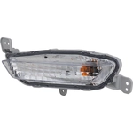 Order Driver Side Front Signal Lamp - HO2530136 For Your Vehicle