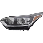 Order Driver Side Headlamp Assembly Composite - KI2502241C For Your Vehicle