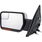 Order Driver Side Outside Rear View Mirror by SHERMAN PARTS - 579CF-300L For Your Vehicle