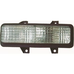 Order Driver Side Parklamp Assembly by DEPO - 332-1608L-US For Your Vehicle