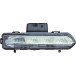 Order Driver Side Parklamp Assembly by DEPO - 336-1608L-AC For Your Vehicle