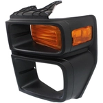 Order Driver Side Parklamp Lens - FO2524103C For Your Vehicle