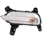 Order Driver Side Repeater Lamp - KI2570101 For Your Vehicle