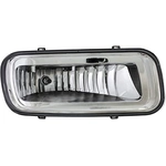 Order DORMAN - 1571019 - Driving And Fog Light For Your Vehicle