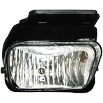 Order DORMAN - 1571020 - Driving And Fog Light For Your Vehicle