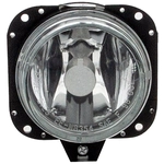 Order DORMAN - 923-827 - Fog Light Assembly For Your Vehicle