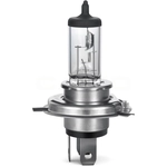 Order Driving And Fog Light by PHILIPS - 9003B1 For Your Vehicle