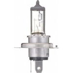 Order Driving And Fog Light by PHILIPS - 9003C1 For Your Vehicle