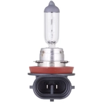 Order PHILIPS - H8C1 - Driving And Fog Light For Your Vehicle