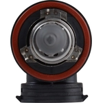 Driving And Fog Light by PHILIPS - H11PRB1