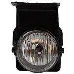 Order TYC - 19-5542-90 - Driving And Fog Light For Your Vehicle