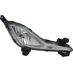 Order Lumière de conduite et antibrouillard de TYC - 19-6027-00-9 For Your Vehicle