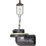 Order Driving And Fog Light by WAGNER - BP898 For Your Vehicle