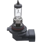 Order Lumière de conduite et antibrouillard de WAGNER - BP9140 For Your Vehicle
