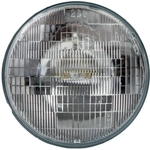 Order Phare à double faisceau de PHILIPS - H6006C1 For Your Vehicle