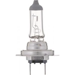 Order Phare à double faisceau de PHILIPS - H7VPB2 For Your Vehicle