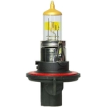 Order WAGNER - BP9008ND2 - Dual Beam Headlight For Your Vehicle
