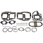 Order DORMAN (OE SOLUTIONS) - 904-332 - Exhaust Gas Recirculation (EGR) Cooler Gasket Kit For Your Vehicle