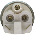Order Electric Fuel Pump by CARTER - P76539 For Your Vehicle