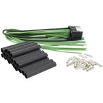 Order MOTORCRAFT - WPT1559 - Wire Assembly For Your Vehicle