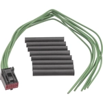 Order Electric Window Connector by BLUE STREAK (HYGRADE MOTOR) - S2505 For Your Vehicle