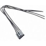 Order Electric Window Connector by BLUE STREAK (HYGRADE MOTOR) - S1862 For Your Vehicle